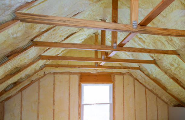 Best Energy-Efficient Insulation  in Zephyrhills South, FL